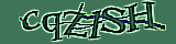 Enter the character string shown in the picture